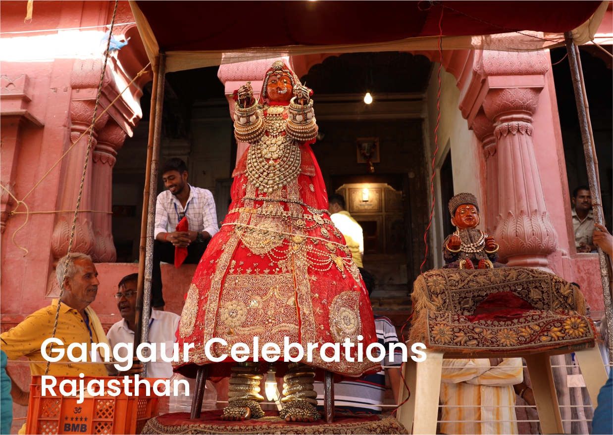 IIPian Sanskar Bhargava